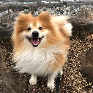 Meet your Posher, Danny